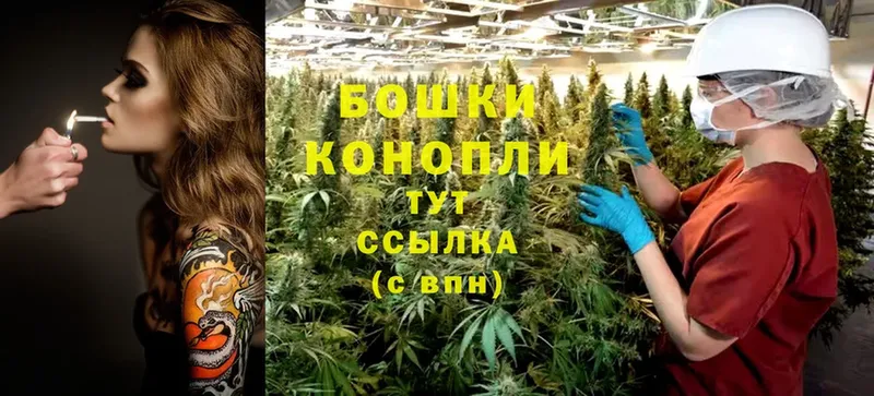 Шишки марихуана White Widow  сколько стоит  Зеленокумск 